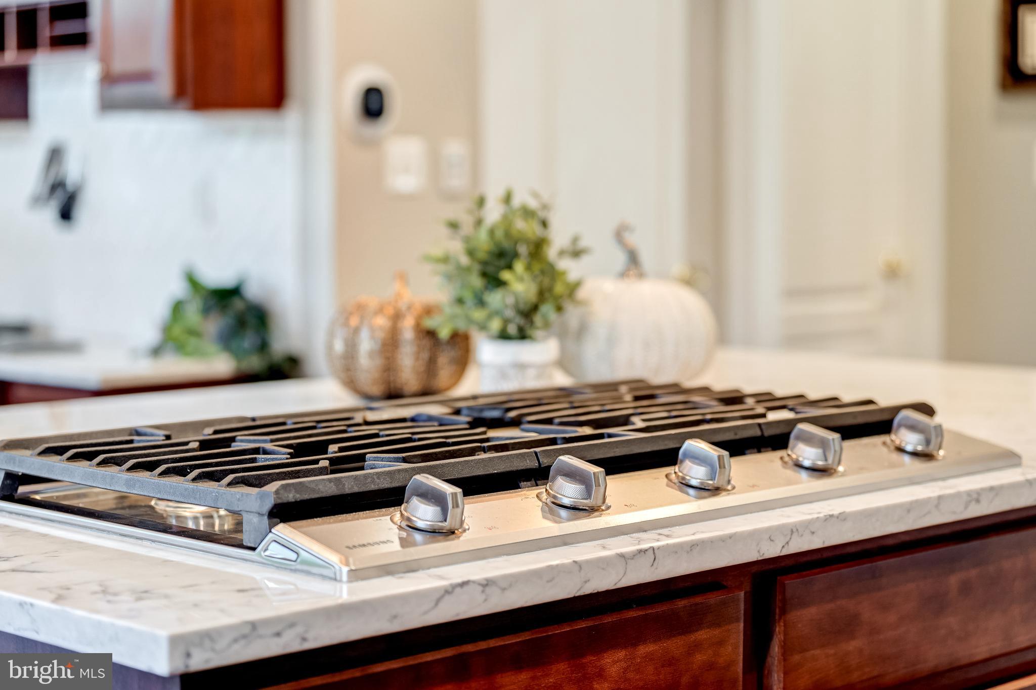 24164 SPRING MEADOW CIRCLE