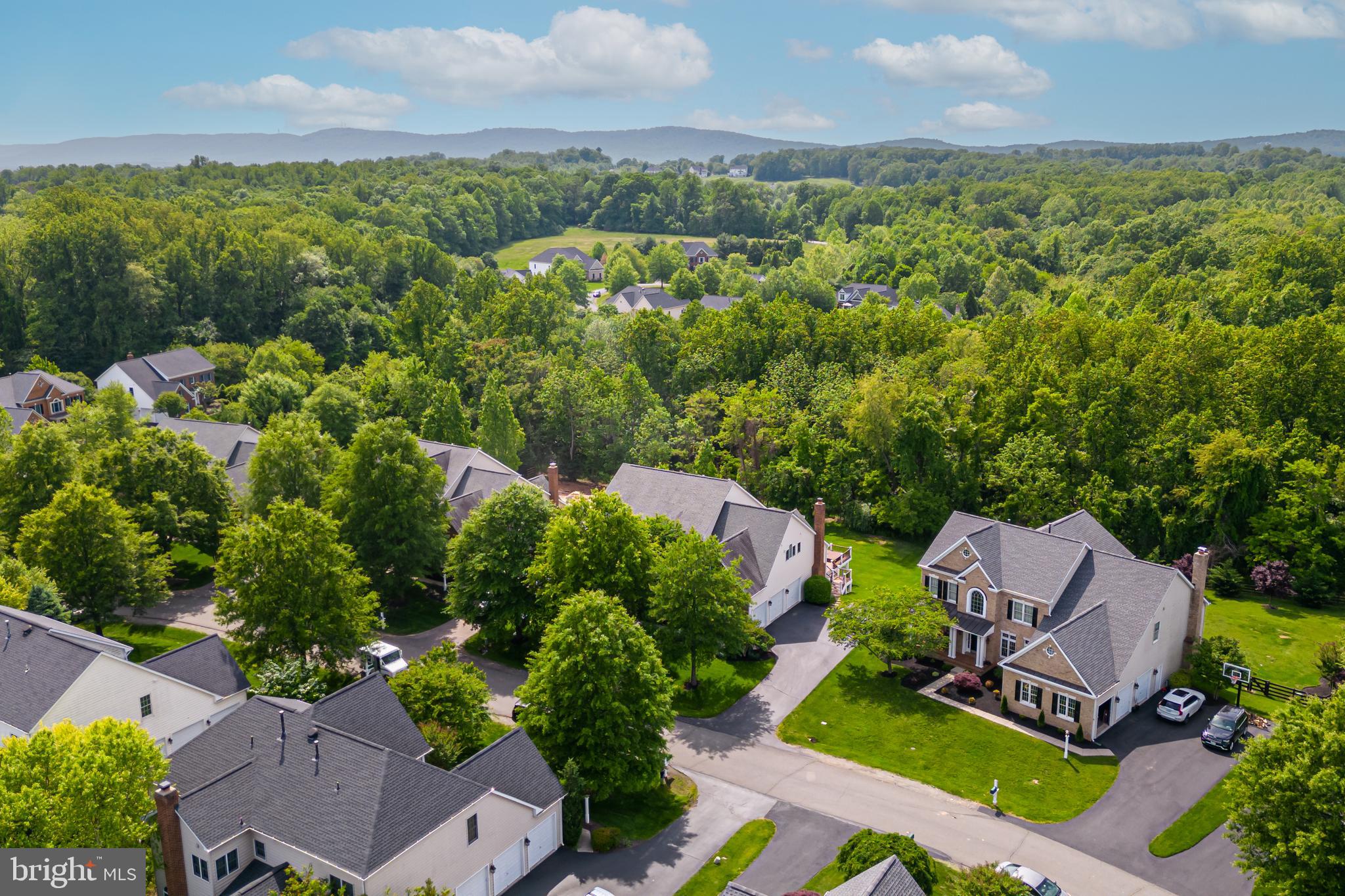 24164 SPRING MEADOW CIRCLE