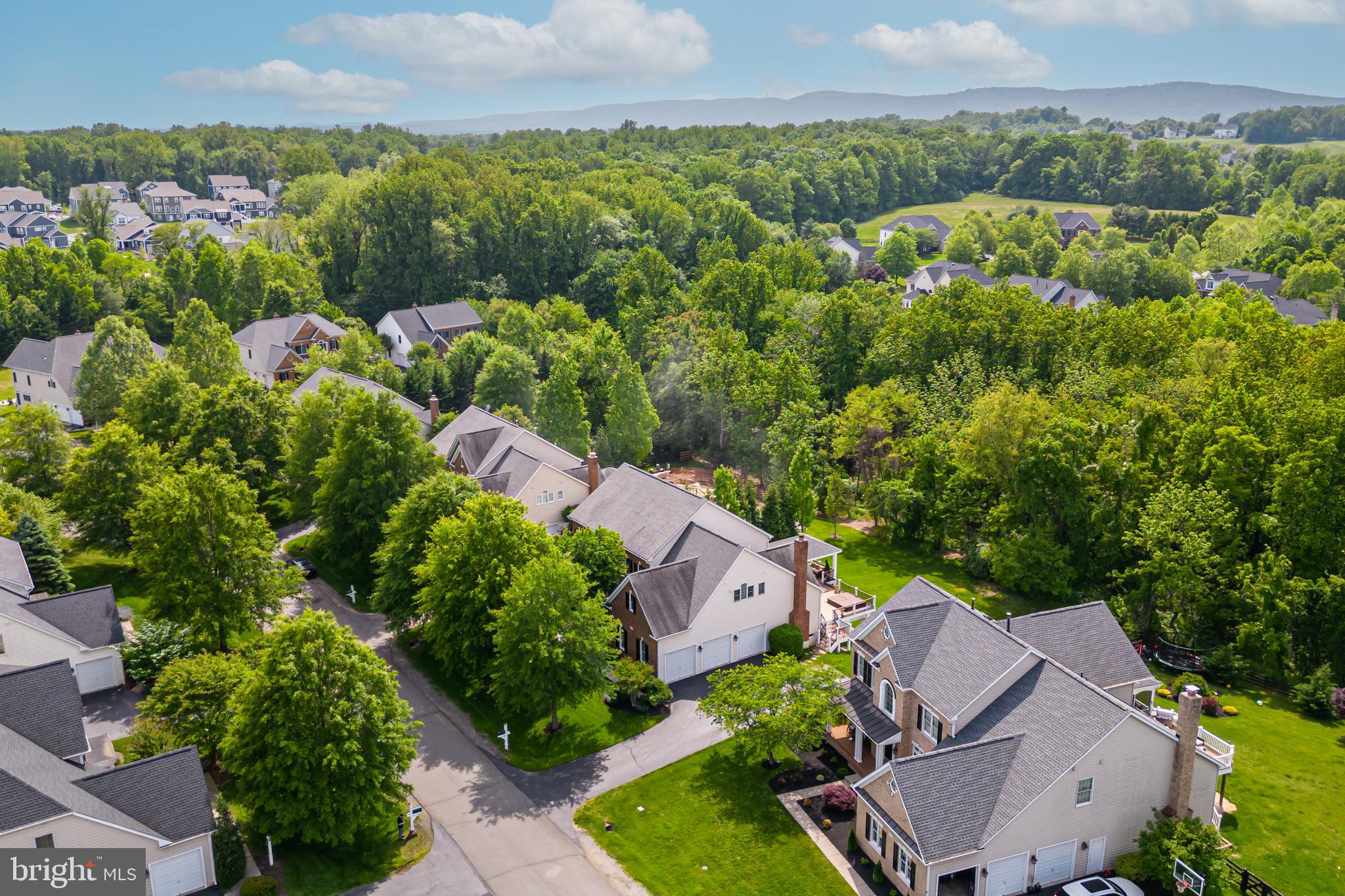 24164 SPRING MEADOW CIRCLE