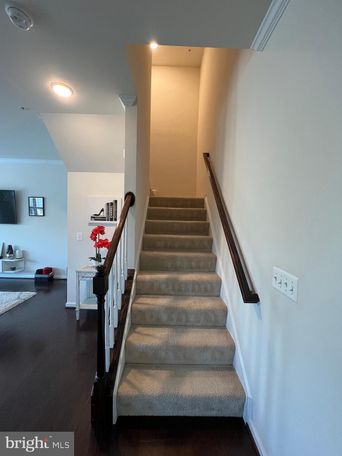 24533 GLENVILLE GROVE TERRACE