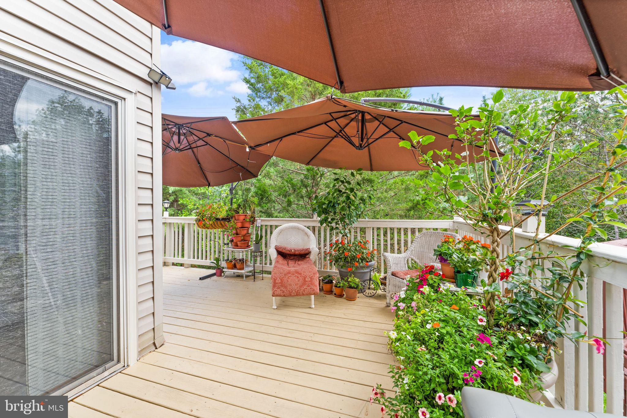 21052 Tioga TERRACE