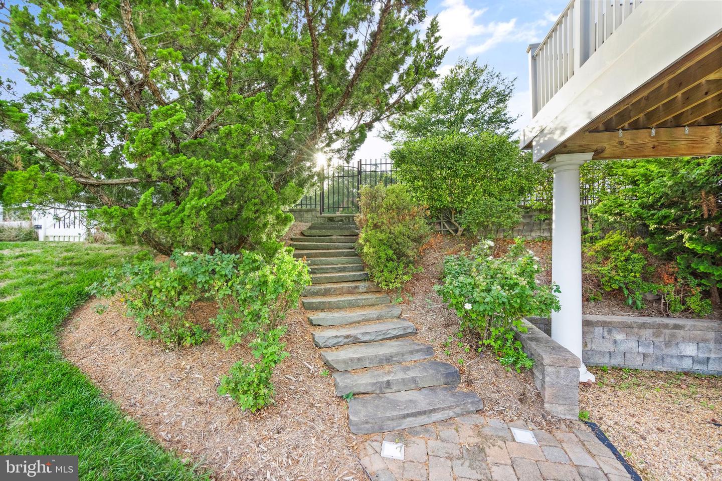 20906 McIntosh PLACE