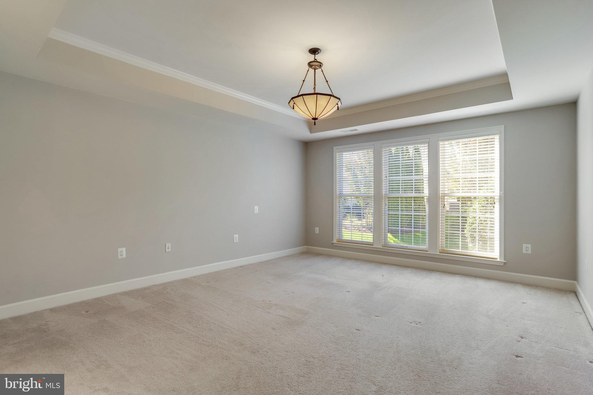 44453 Blueridge Meadows DRIVE