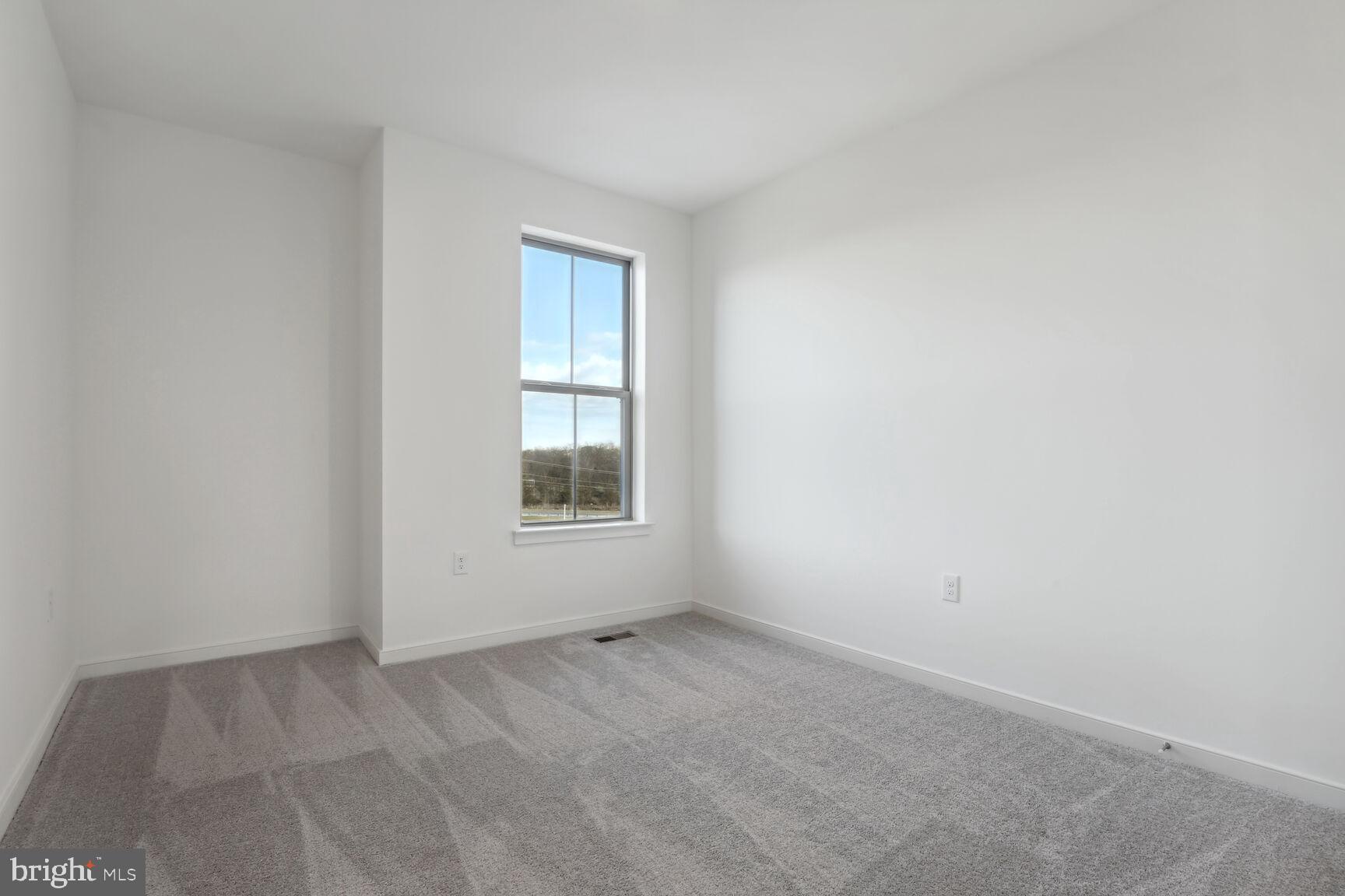 20923 Bluebird SQUARE