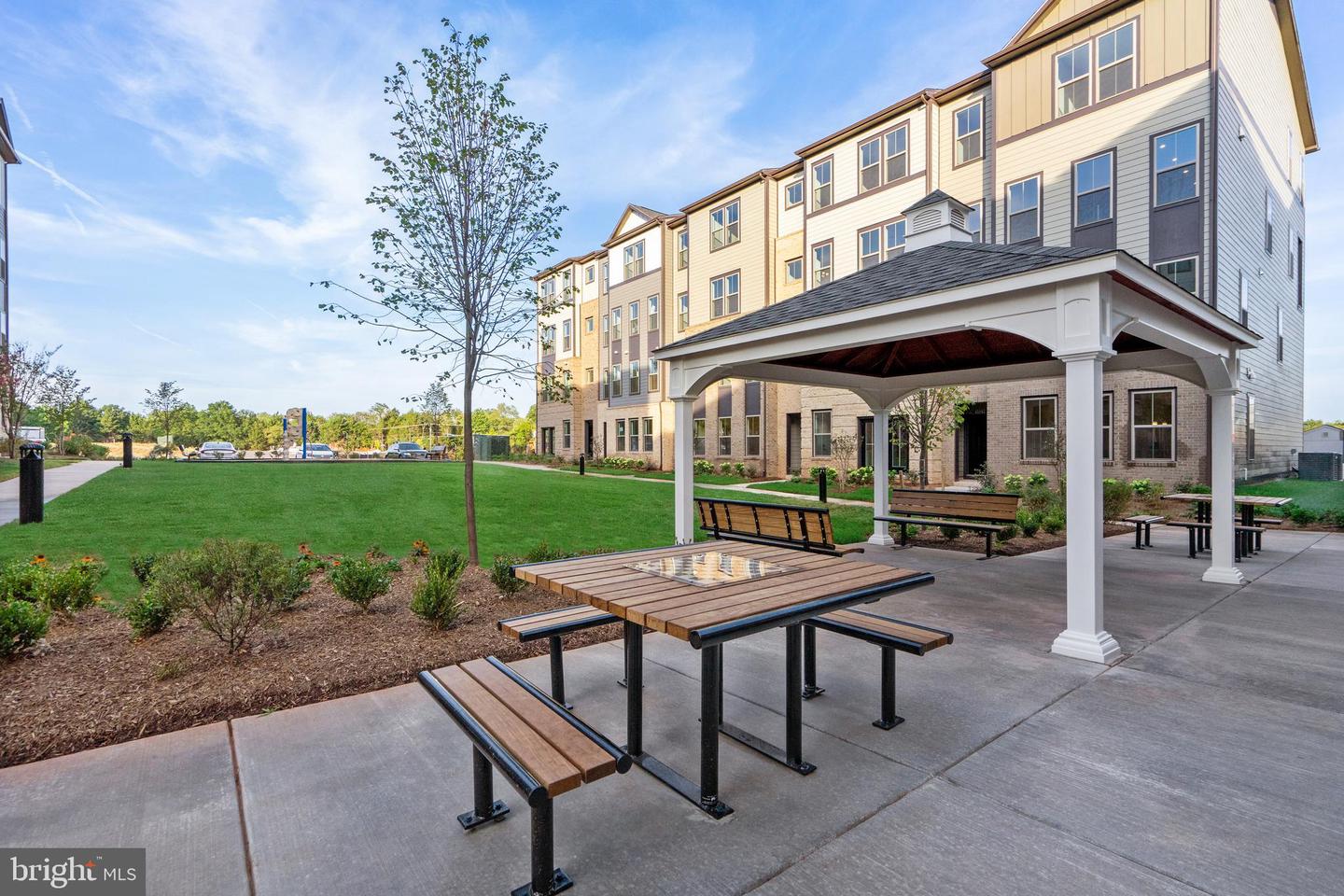 20923 Bluebird SQUARE