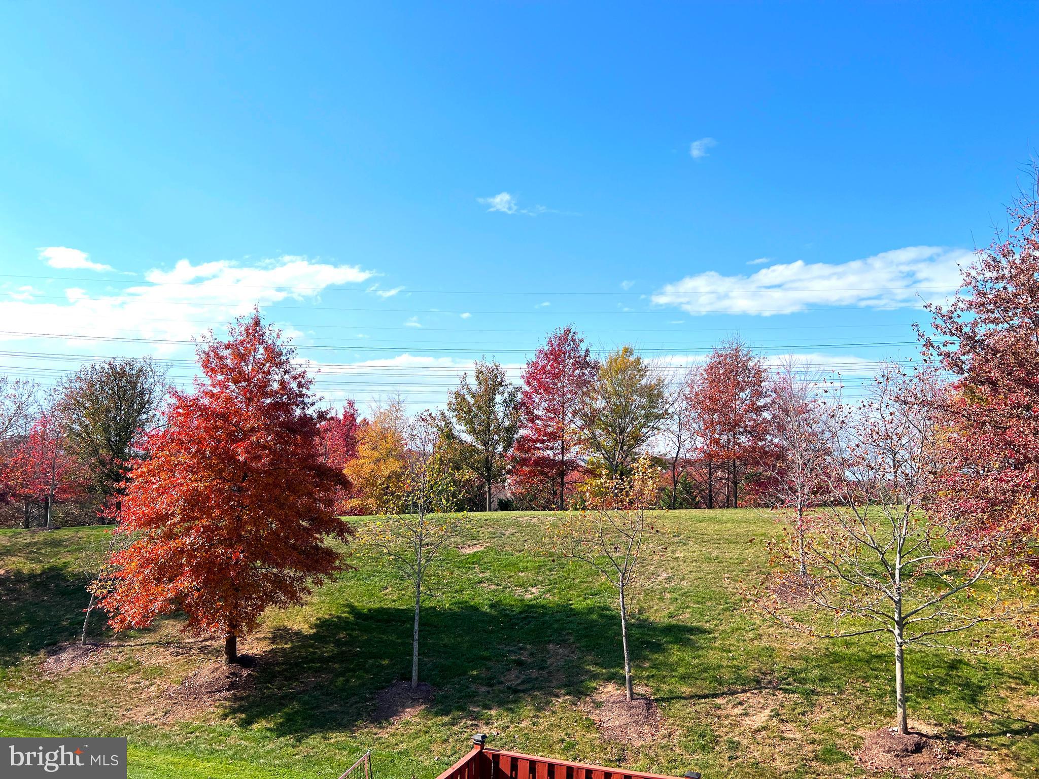 25375 Peaceful TERRACE