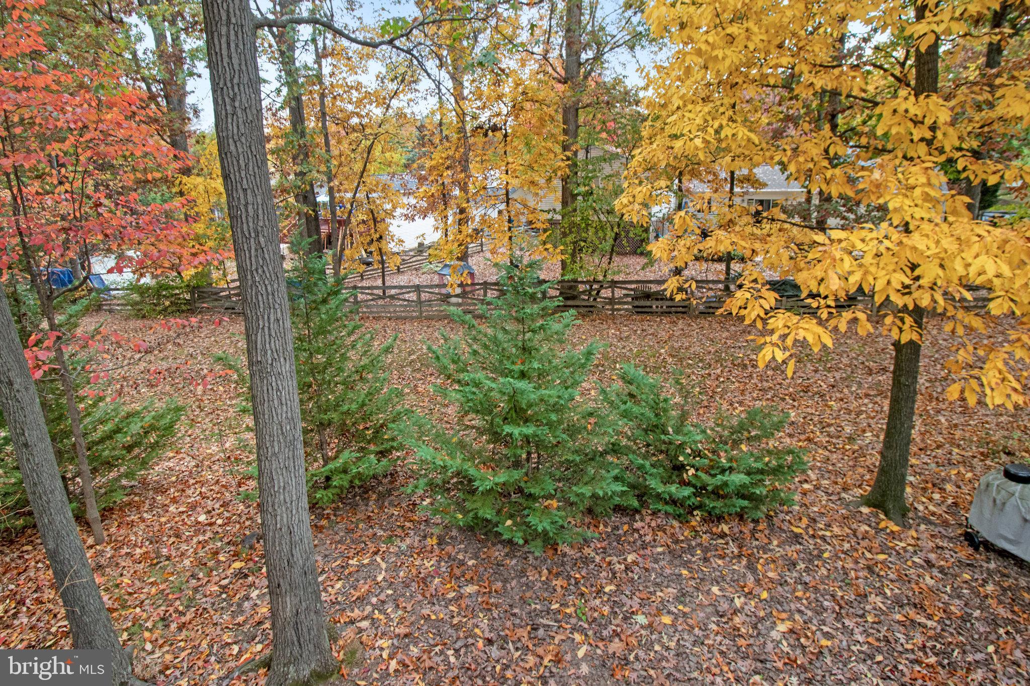 210 Pin Oak COURT