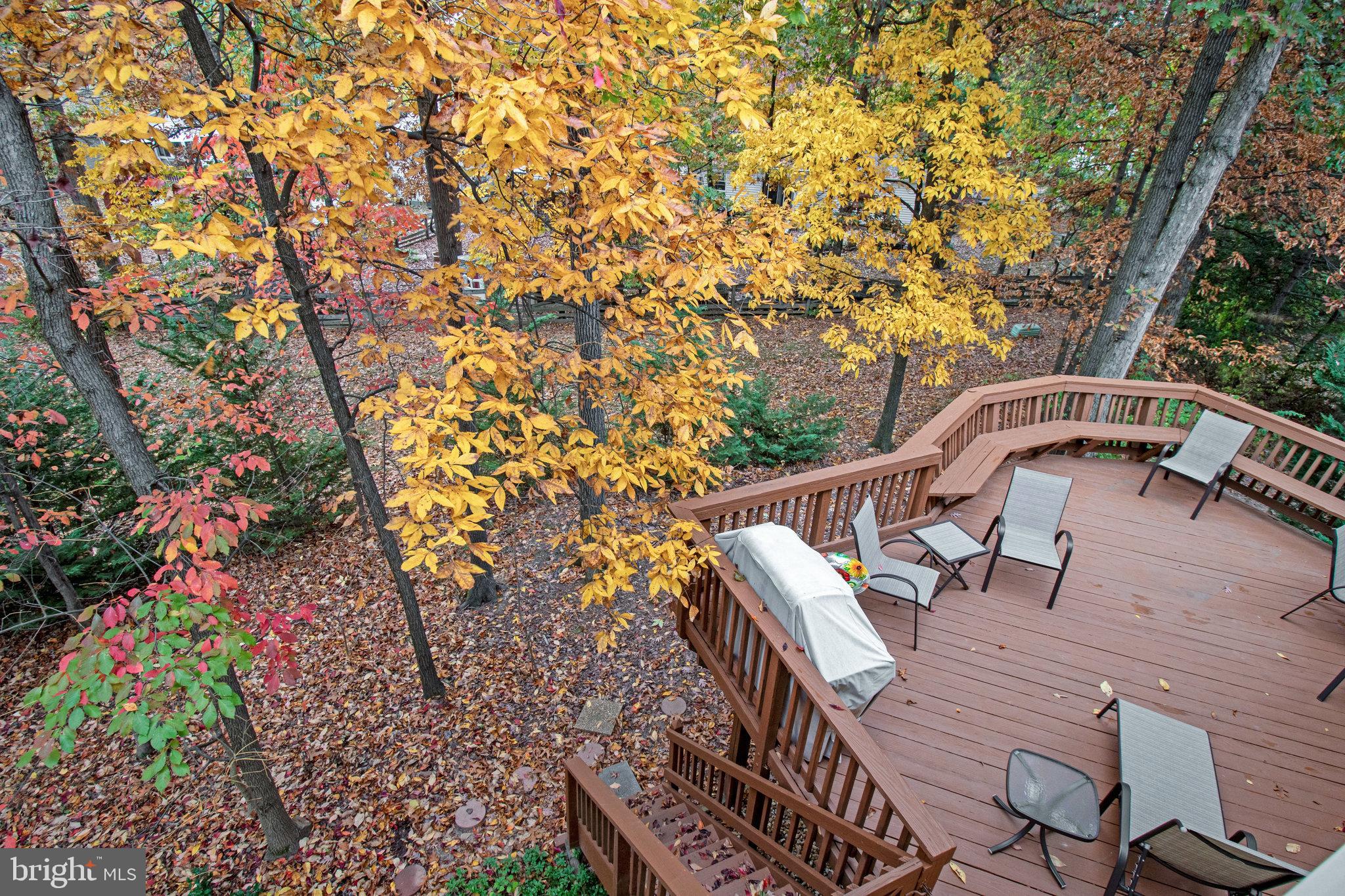 210 Pin Oak COURT