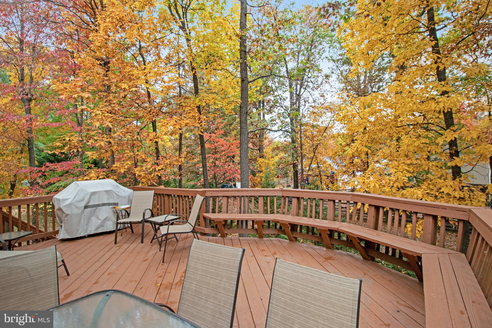 210 Pin Oak COURT