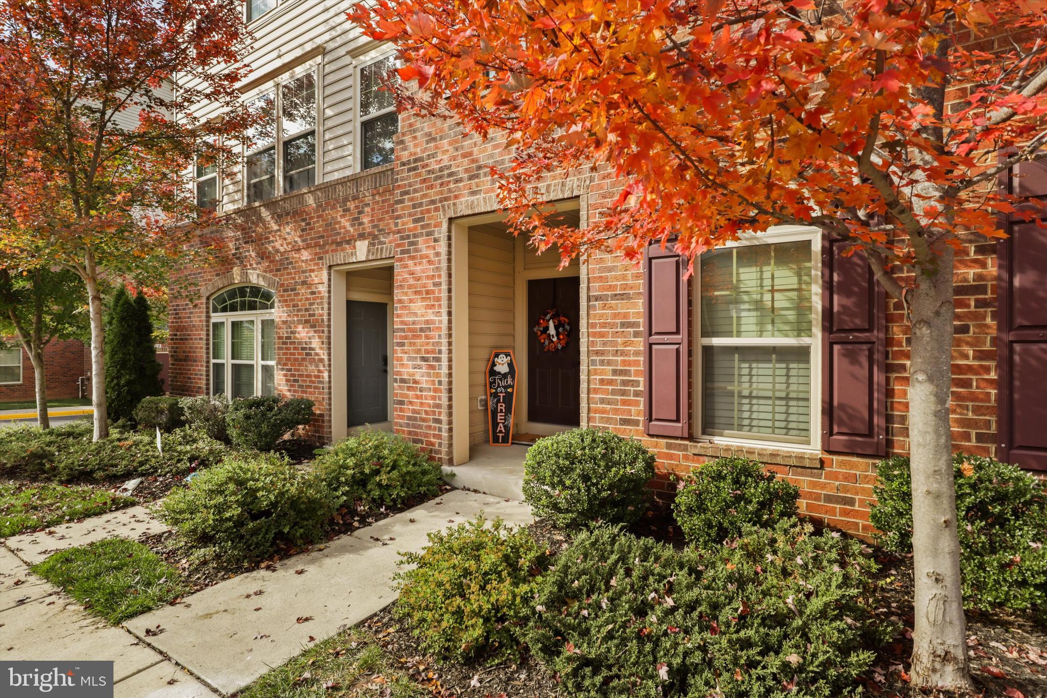 25995 Braided Mane TERRACE
