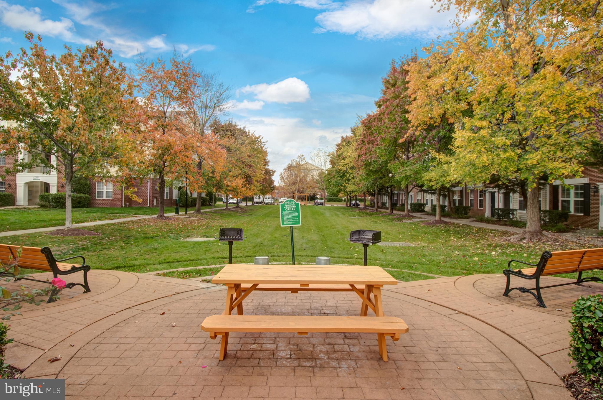 22687 Blue Elder TERRACE Unit: 201