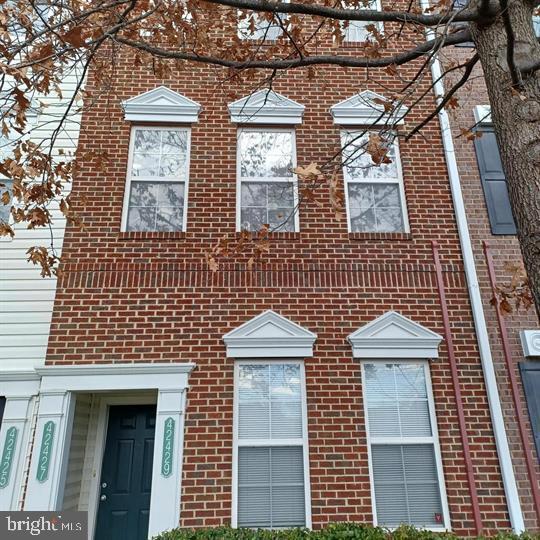 42427 Goldenseal SQUARE
