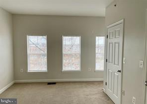 42427 Goldenseal SQUARE