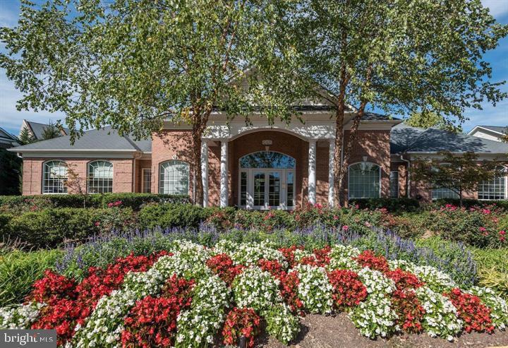 42427 Goldenseal SQUARE