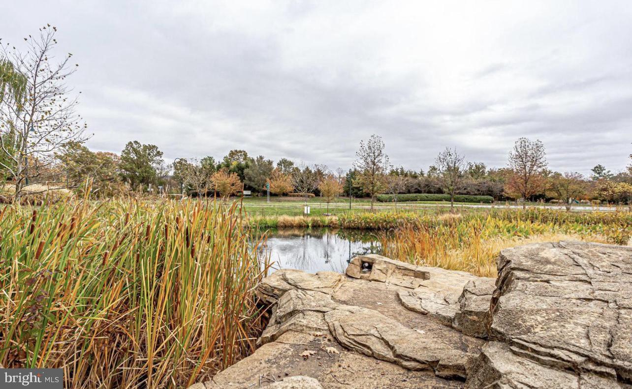 43095 Wynridge DRIVE Unit: 200