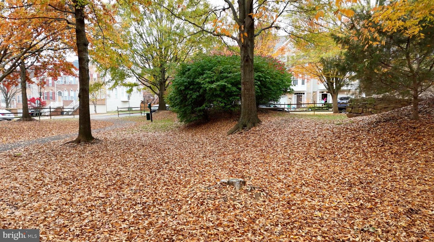 20613 Glenmere SQUARE