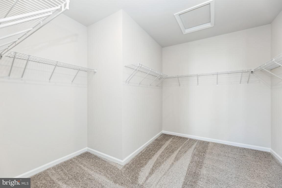 763 Mount Airy TERRACE