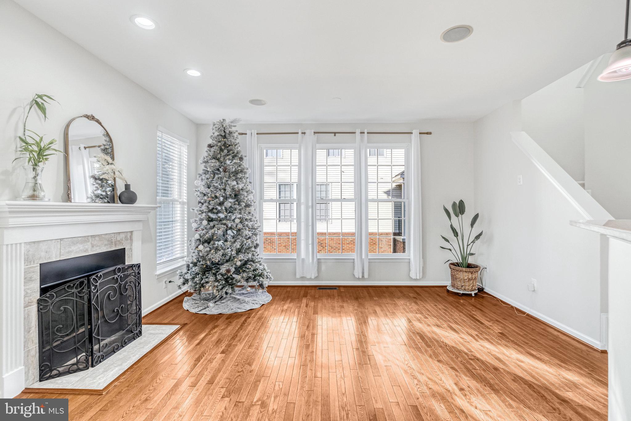 207 Elder TERRACE