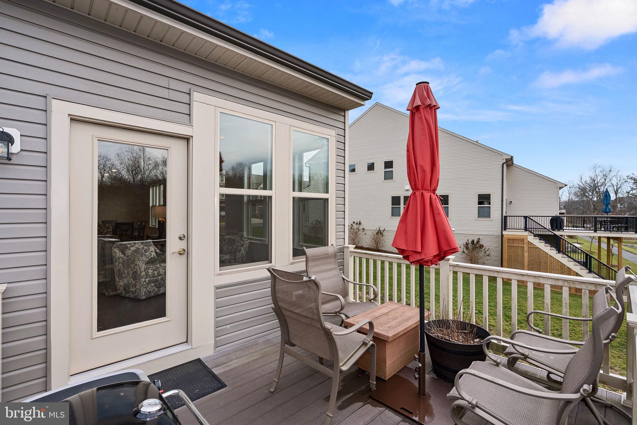 19829 Silvery Blue TERRACE