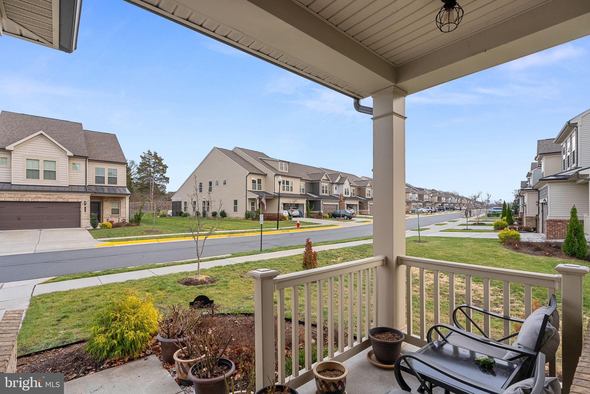 19829 Silvery Blue TERRACE