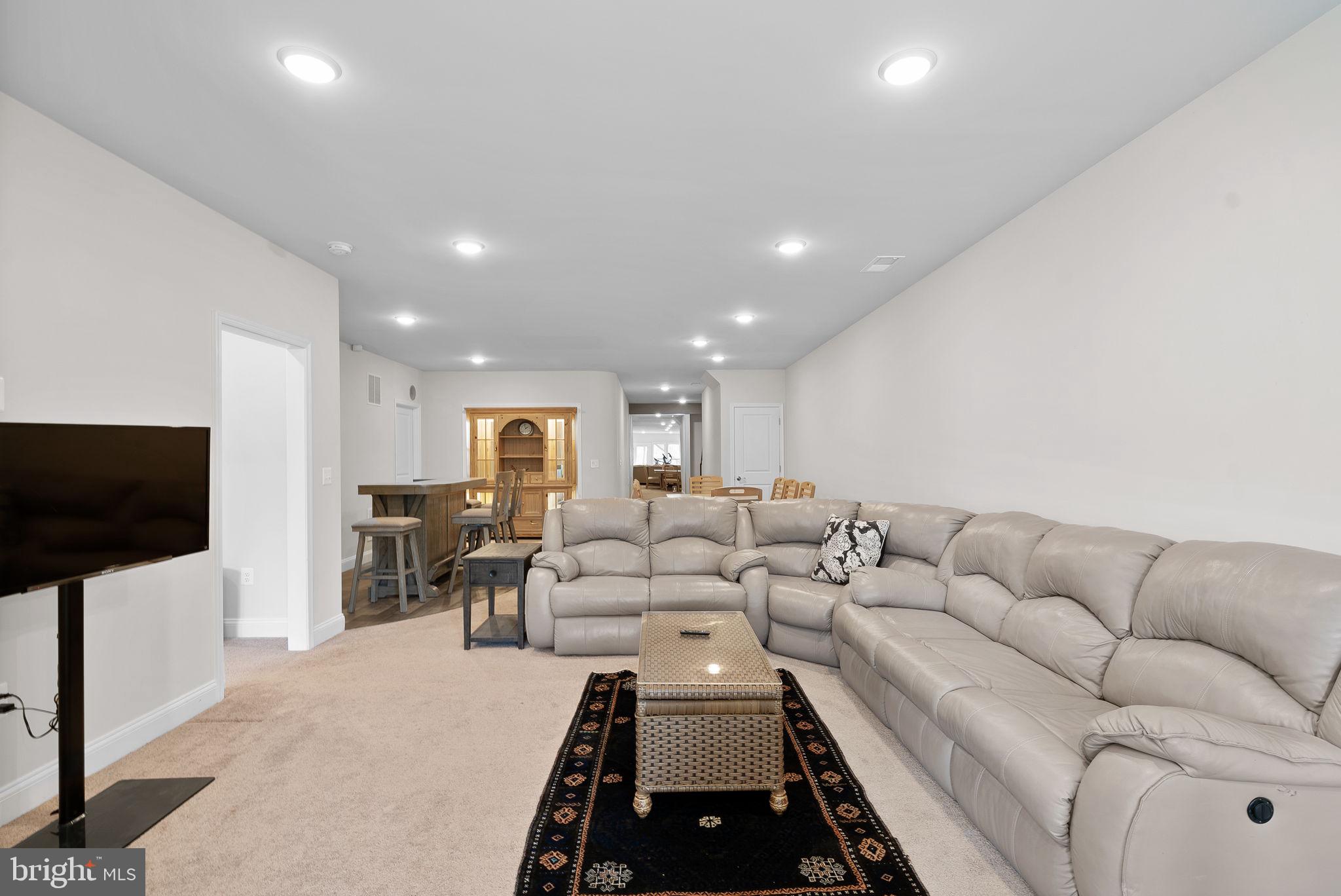 19829 Silvery Blue TERRACE