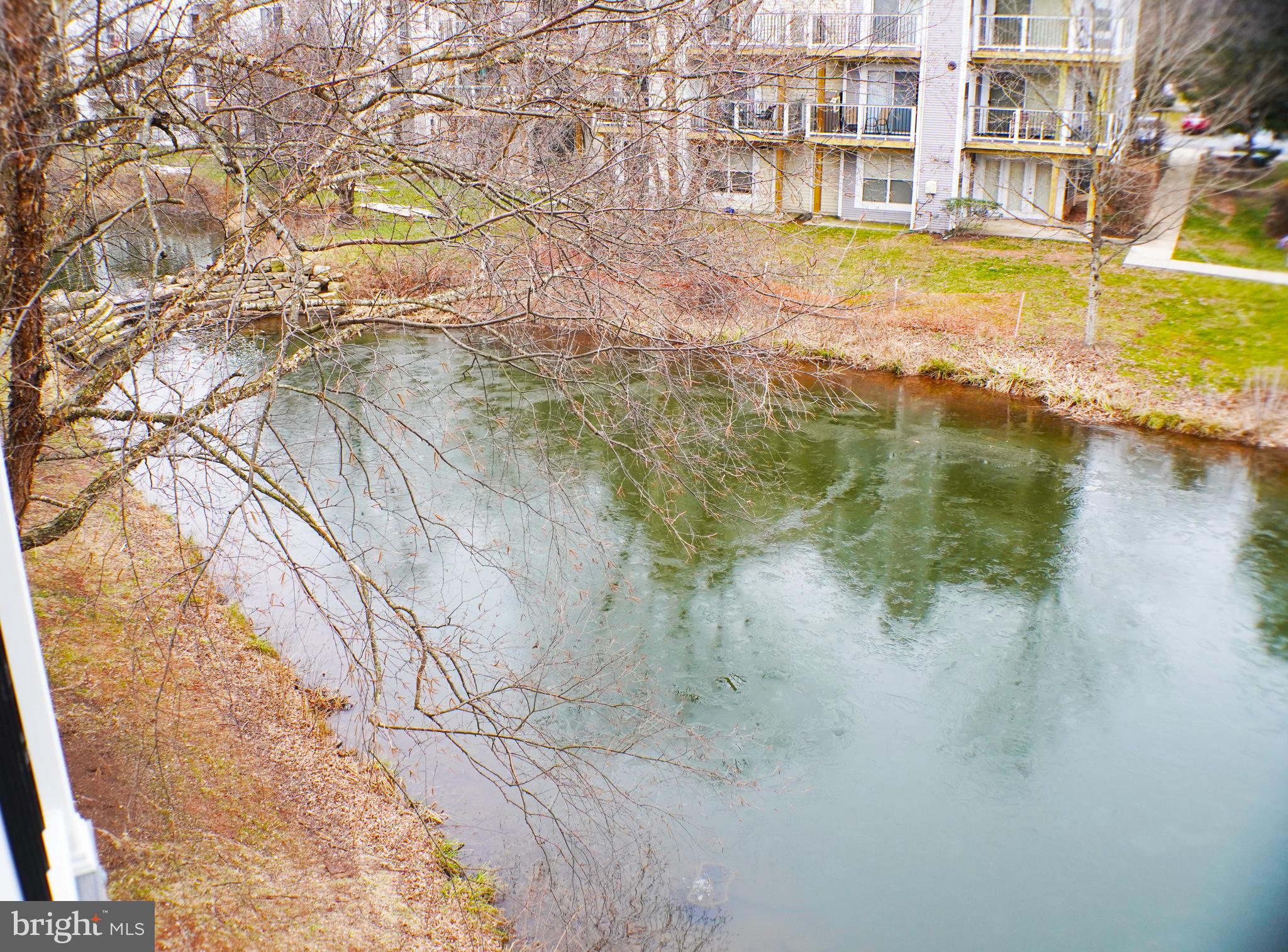 20575 Snowshoe SQUARE Unit: 301
