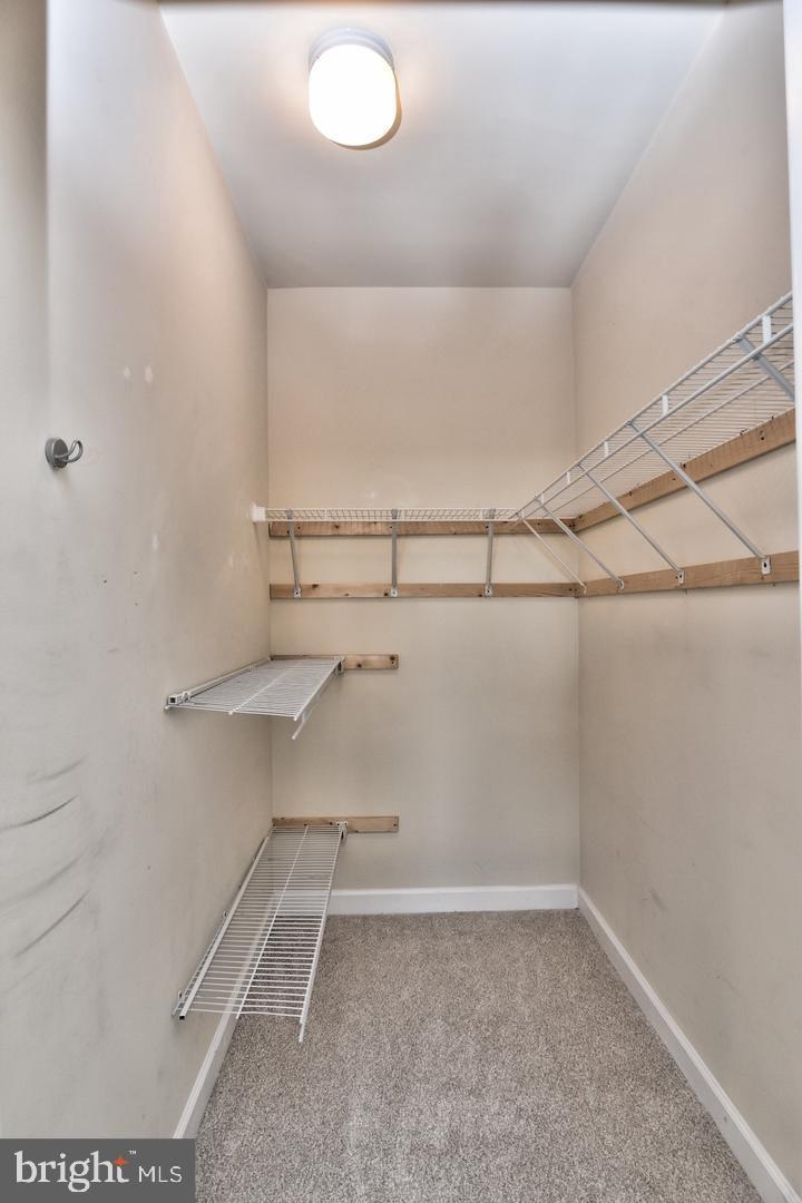 22687 Blue Elder TERRACE Unit: 104