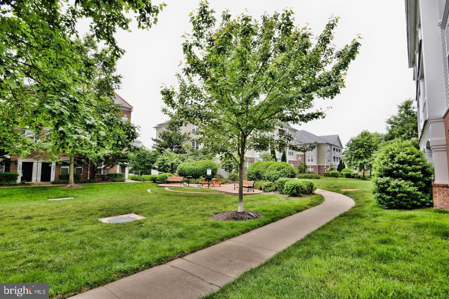 22687 Blue Elder TERRACE Unit: 104