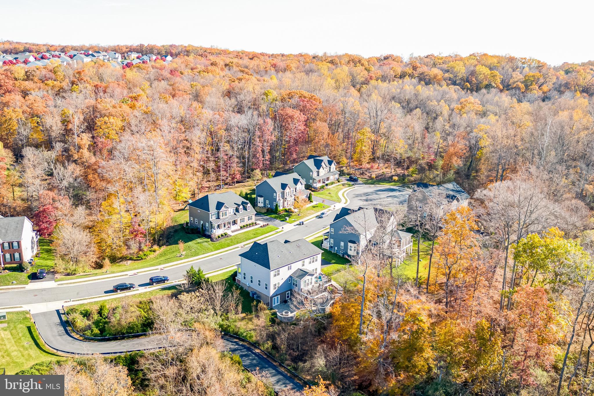 21095 Honeycreeper PLACE