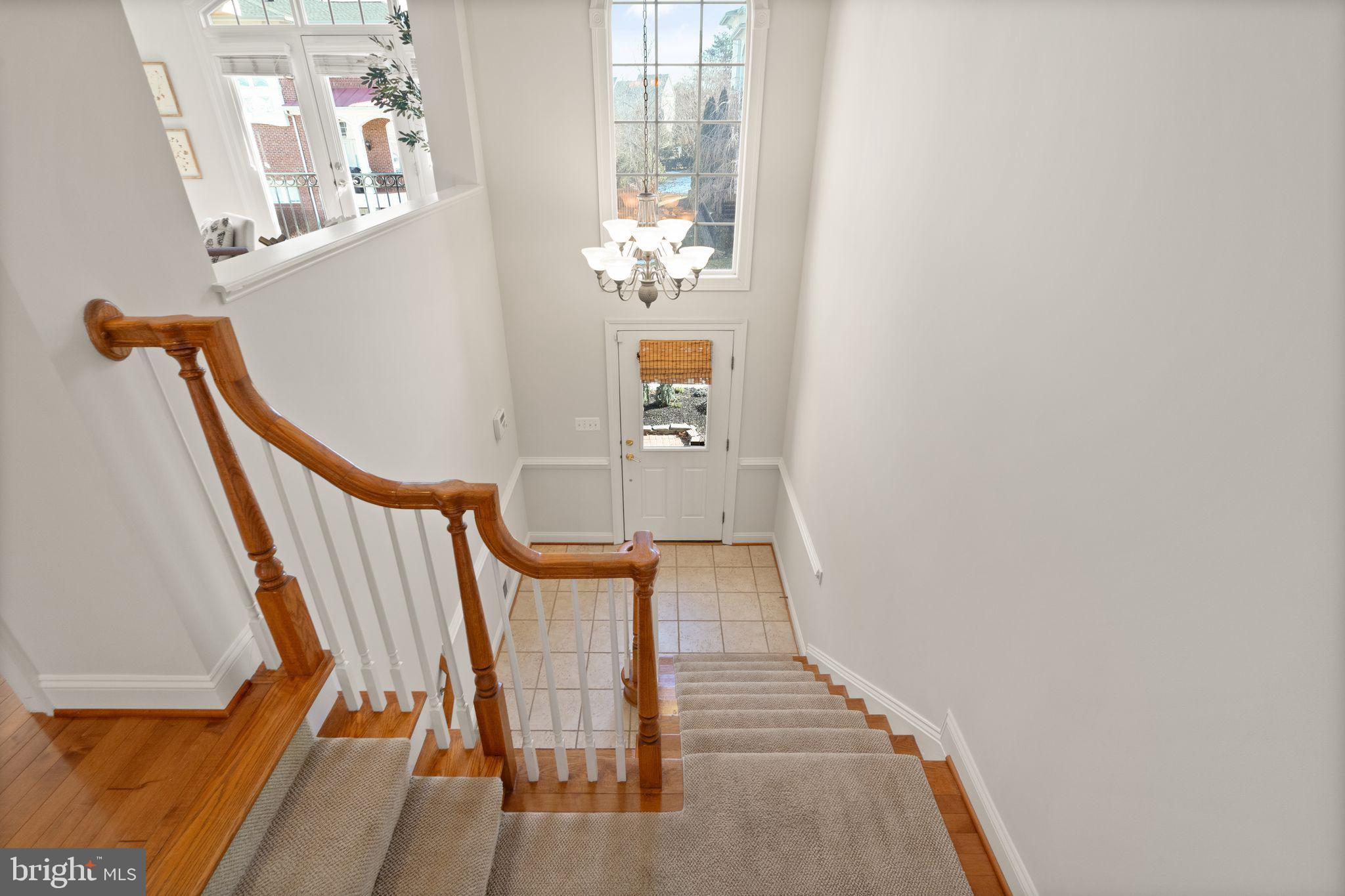 43592 Wild Ginger Terrace