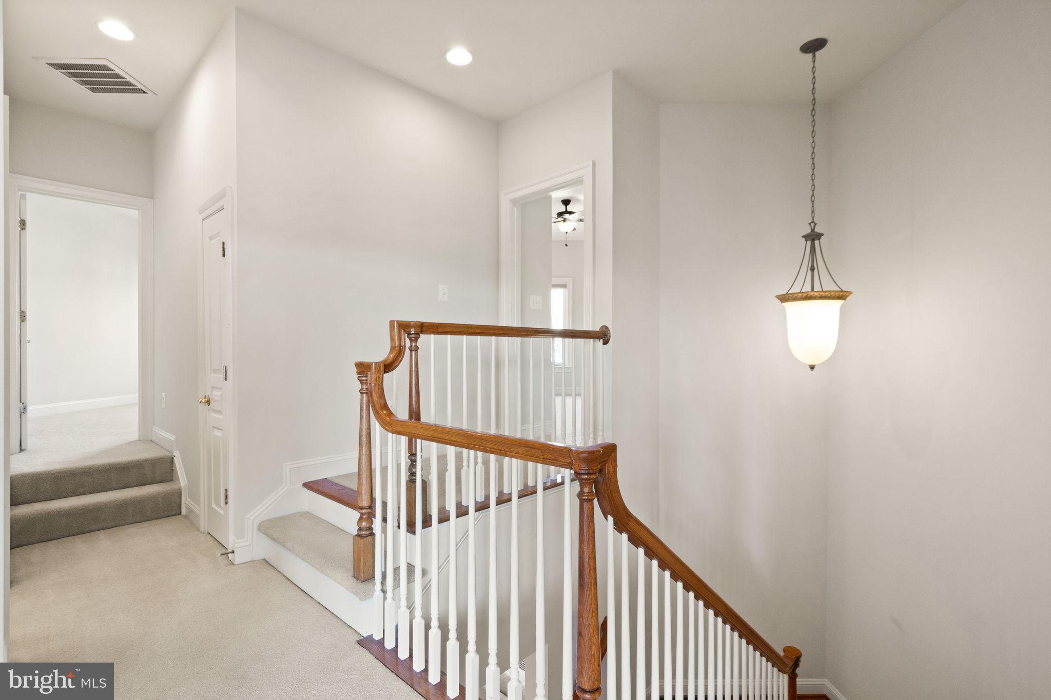43592 Wild Ginger Terrace