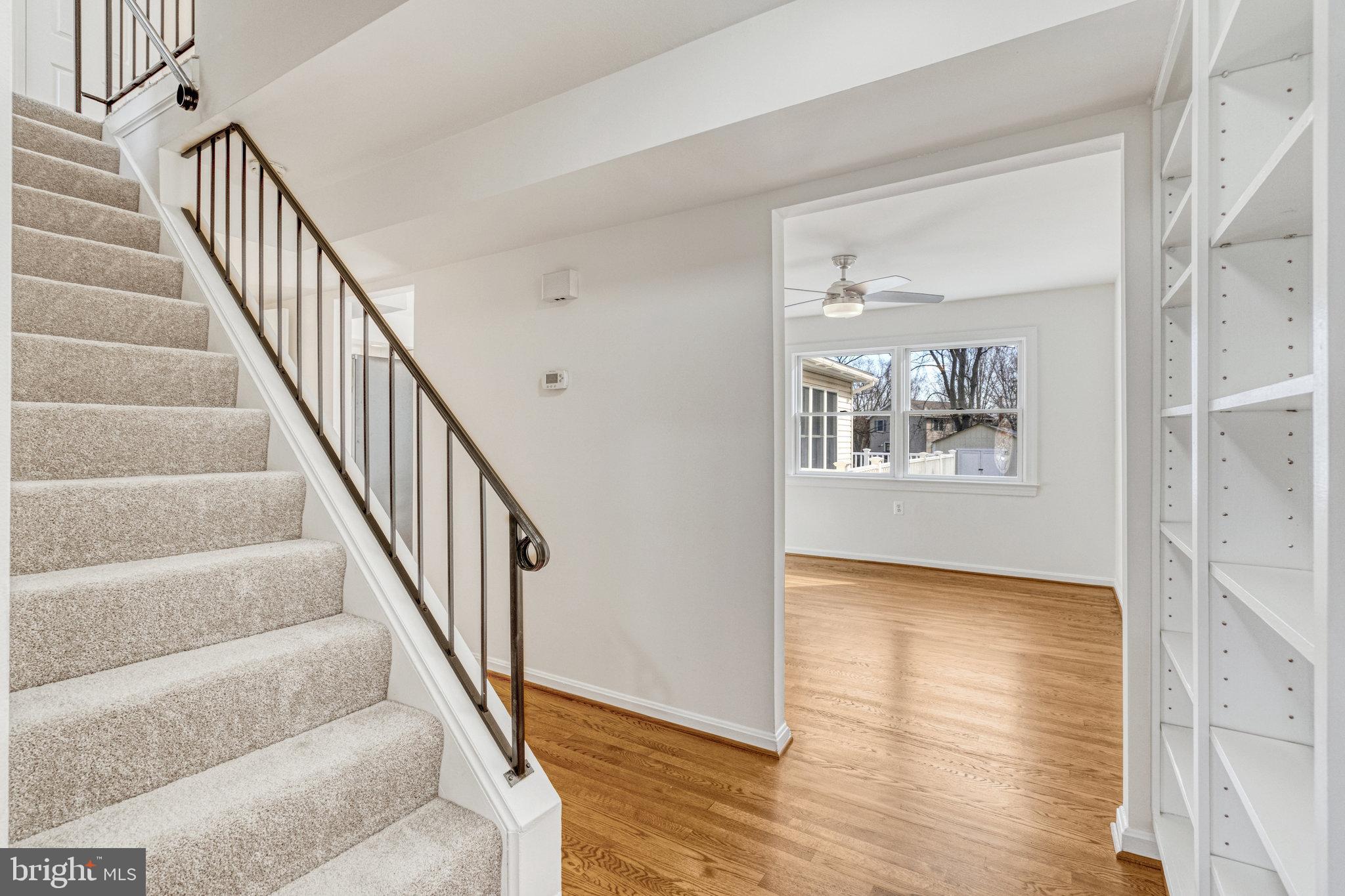 50 Sydnor St