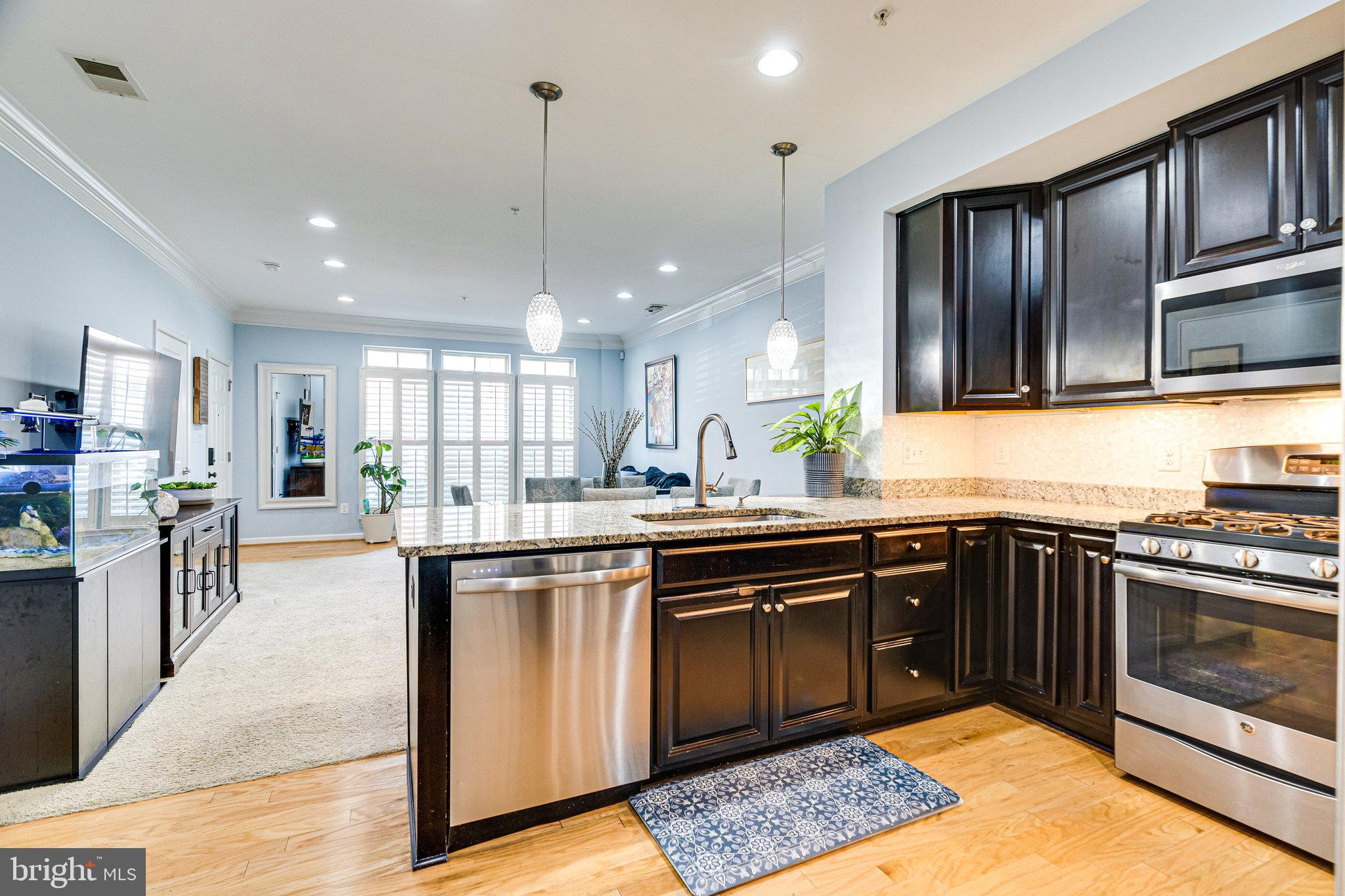 25292 Gray Poplar Ter