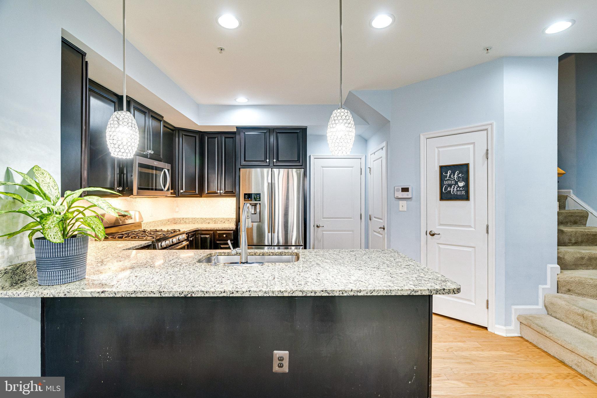 25292 Gray Poplar Ter