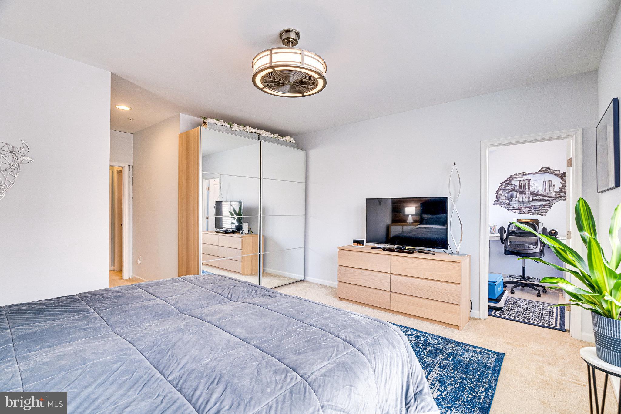 25292 Gray Poplar Ter