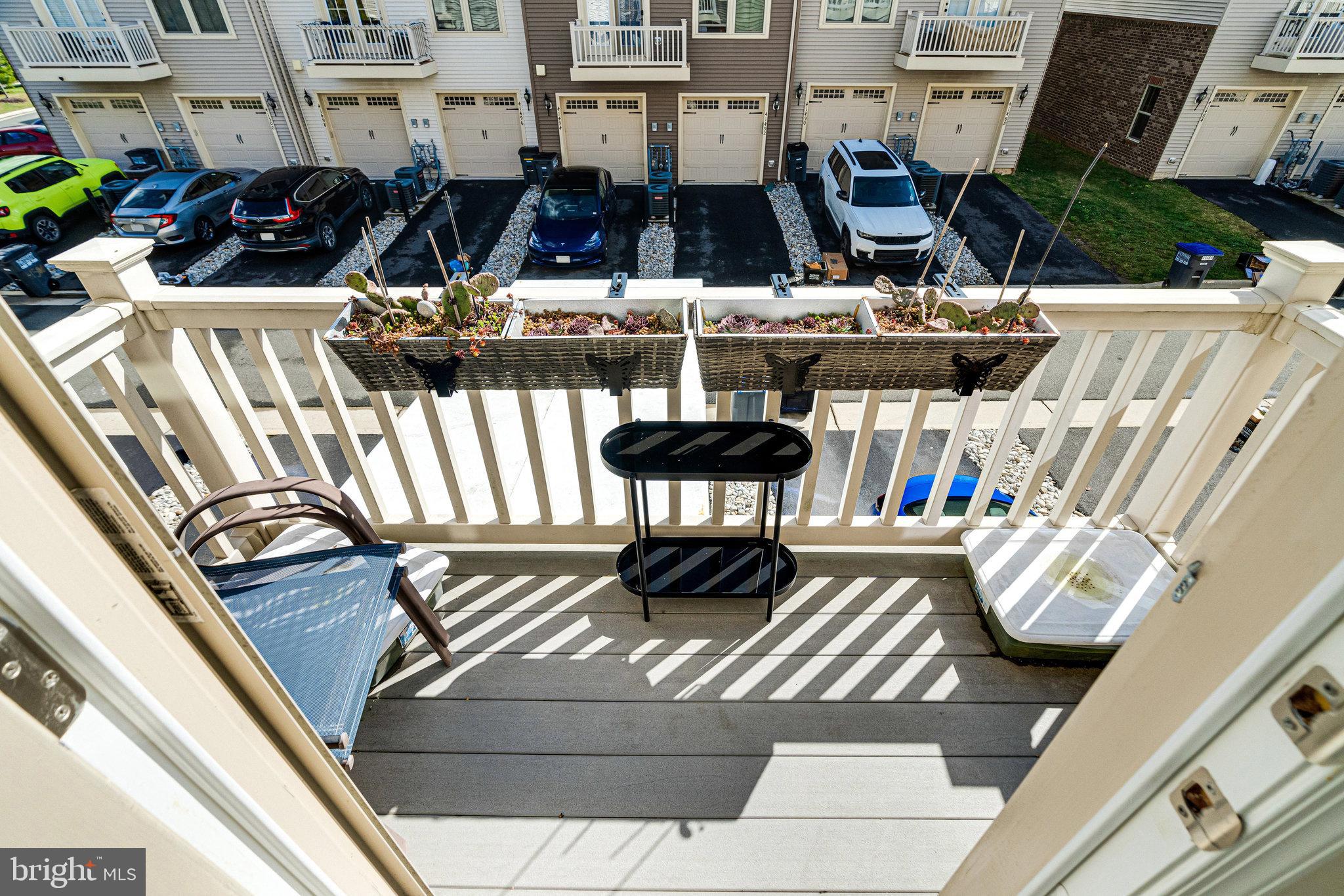 25292 Gray Poplar Ter