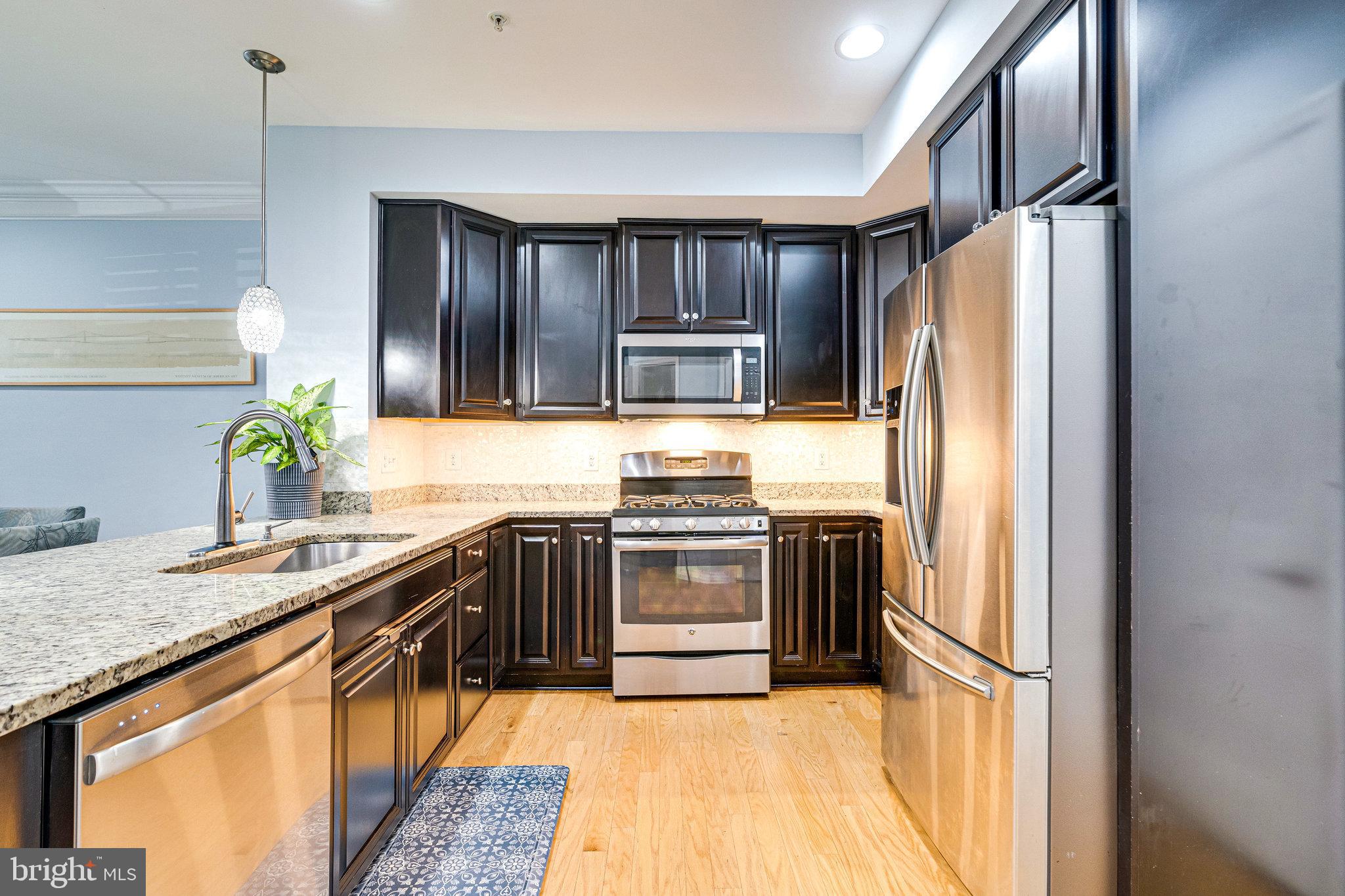 25292 Gray Poplar Ter