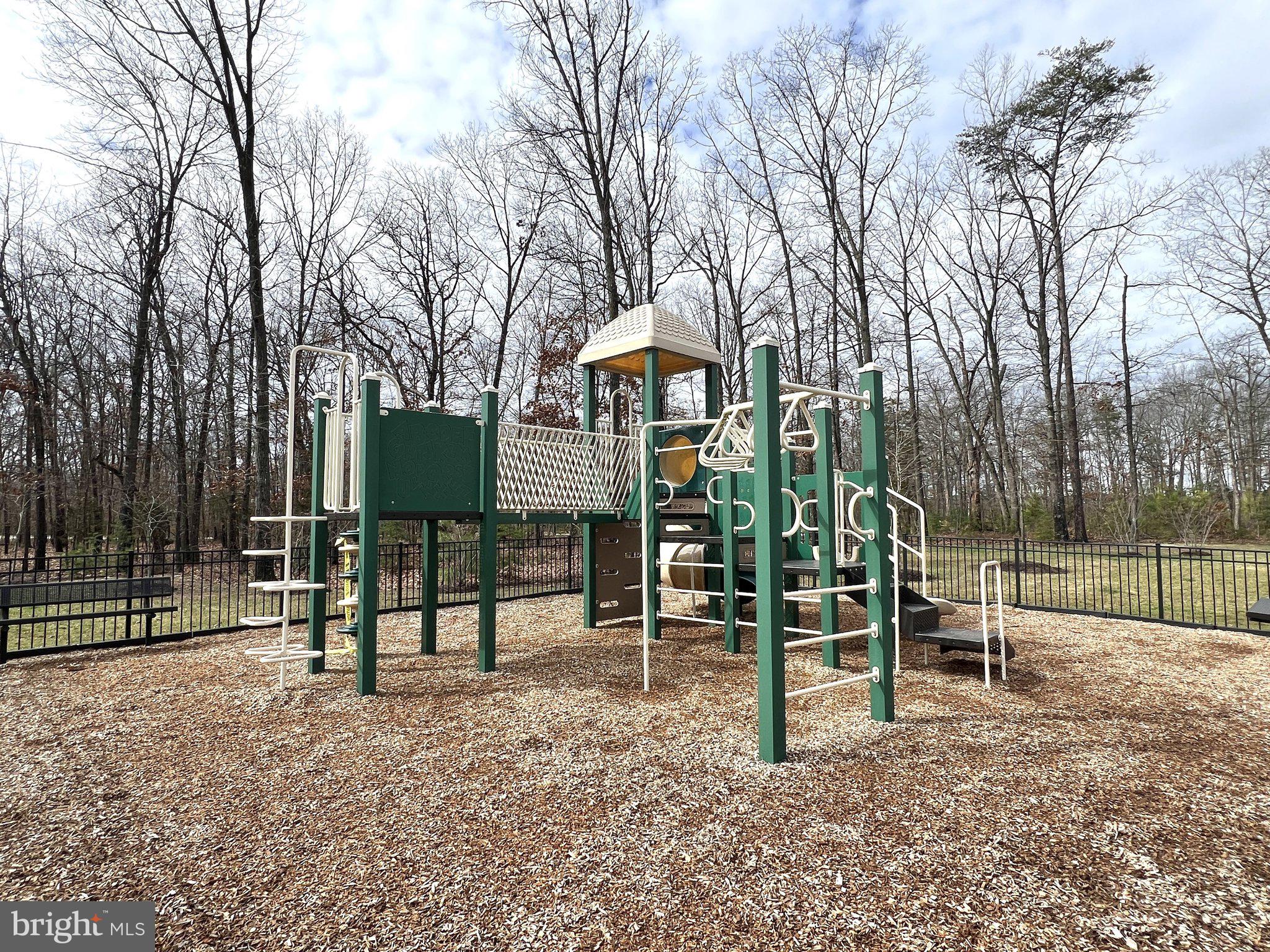25292 Gray Poplar Ter