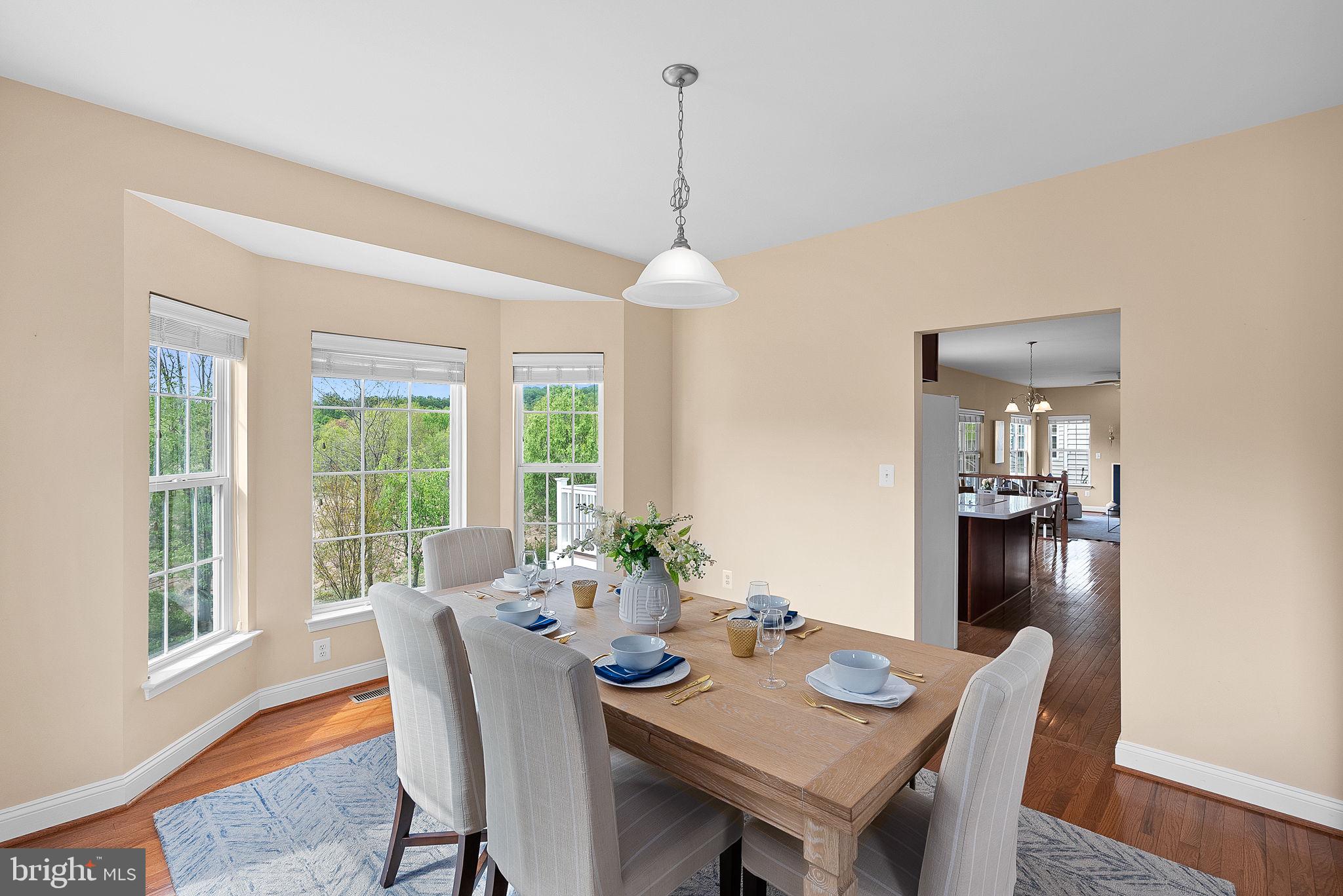 16909 Evening Star Dr