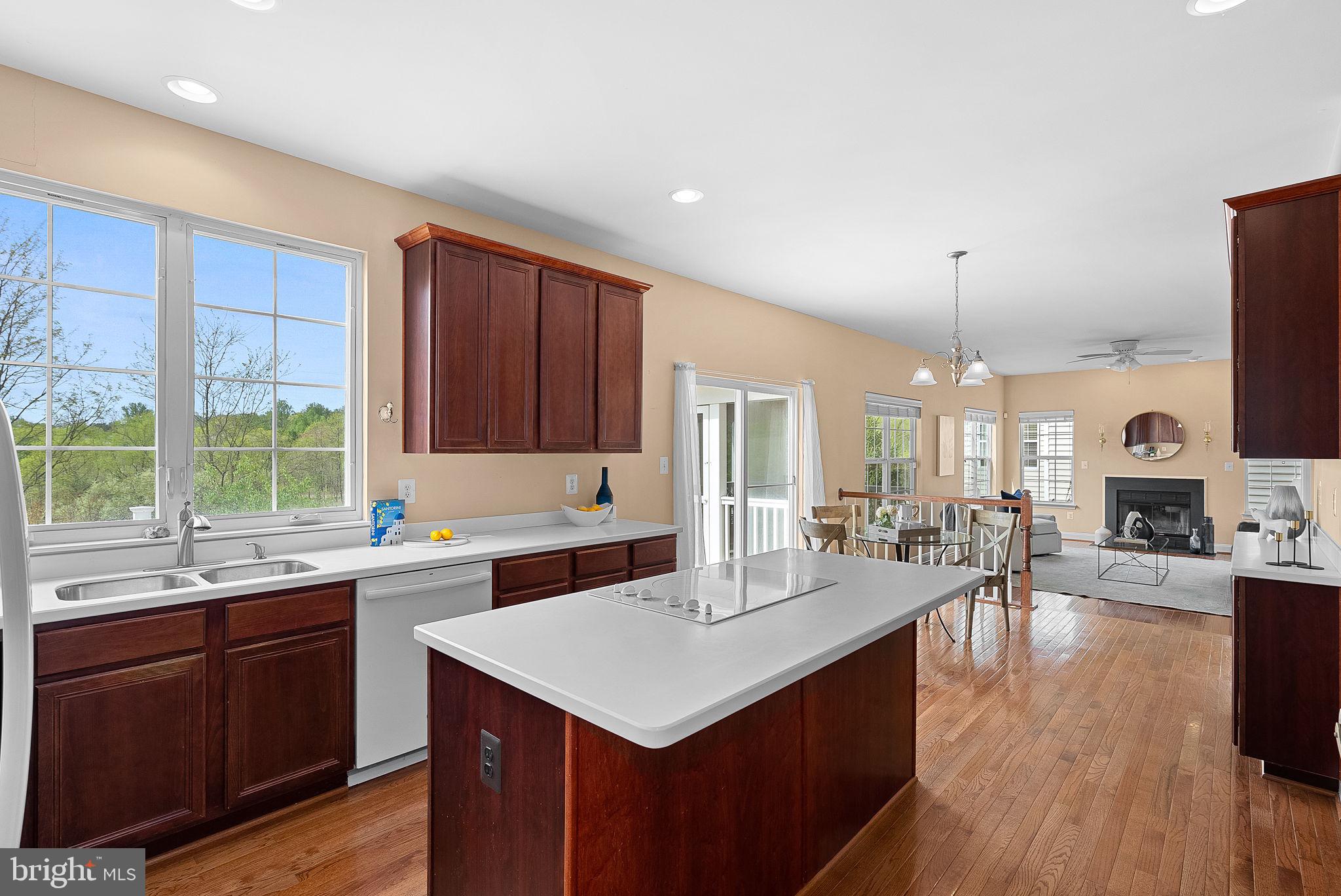 16909 Evening Star Dr