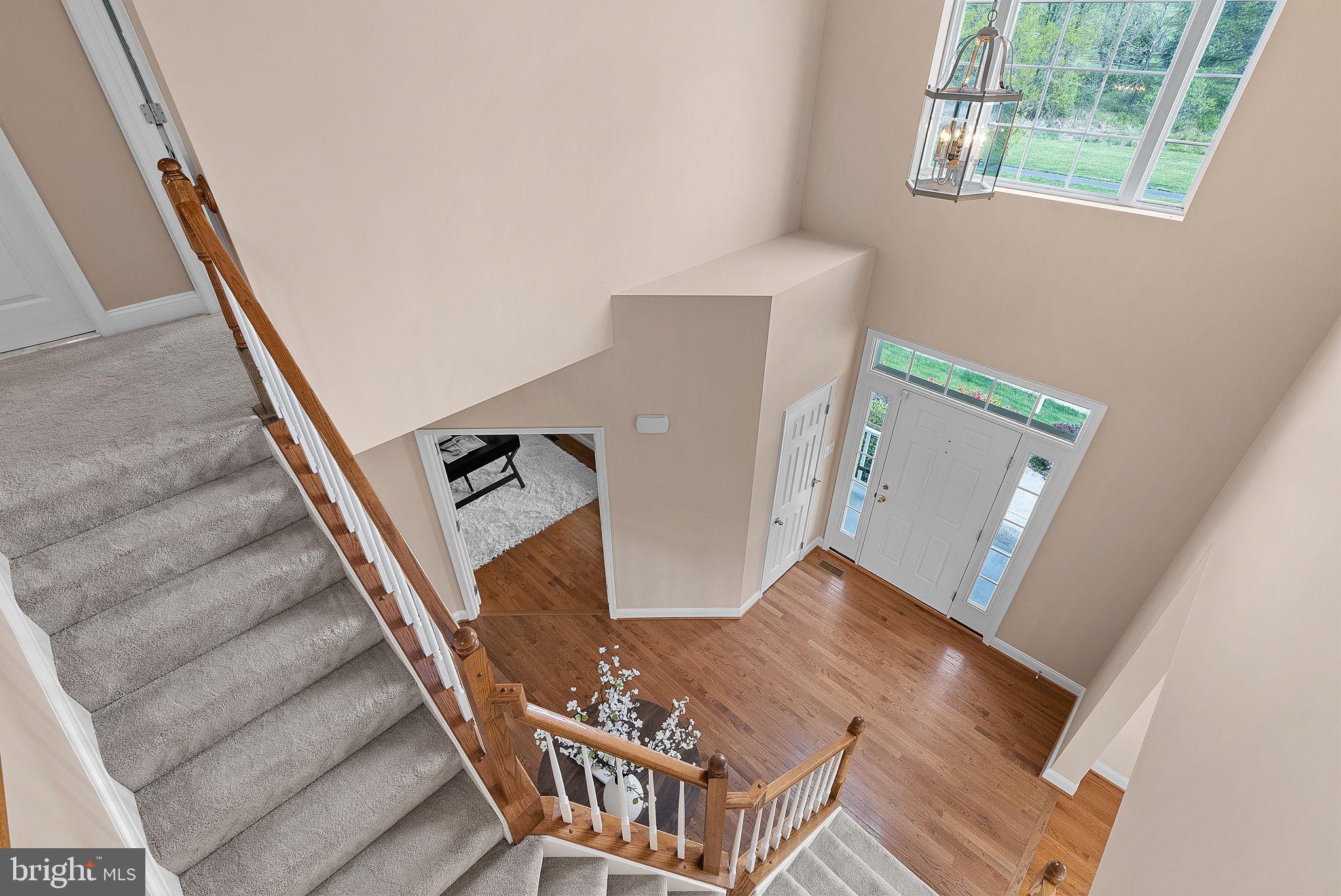 16909 Evening Star Dr