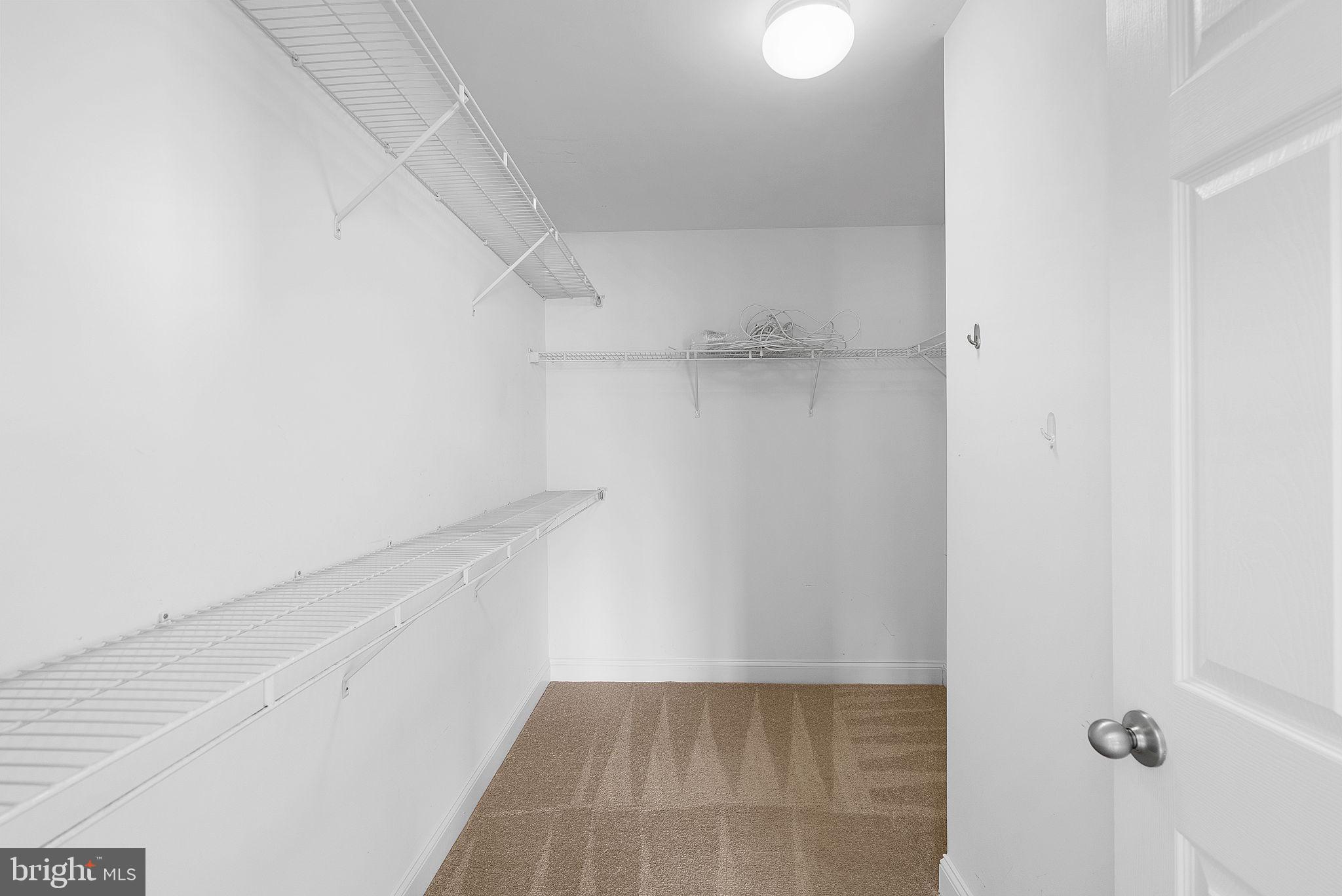 16909 Evening Star Dr