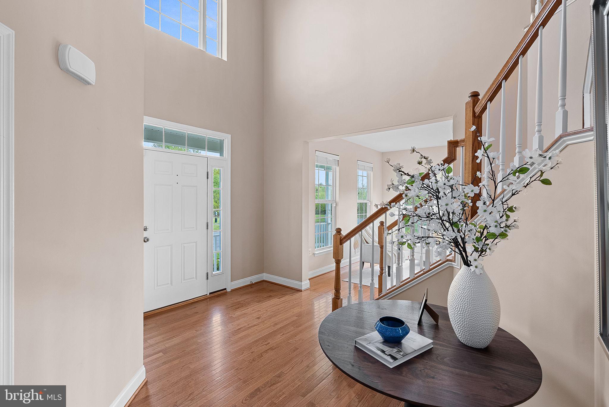 16909 Evening Star Dr
