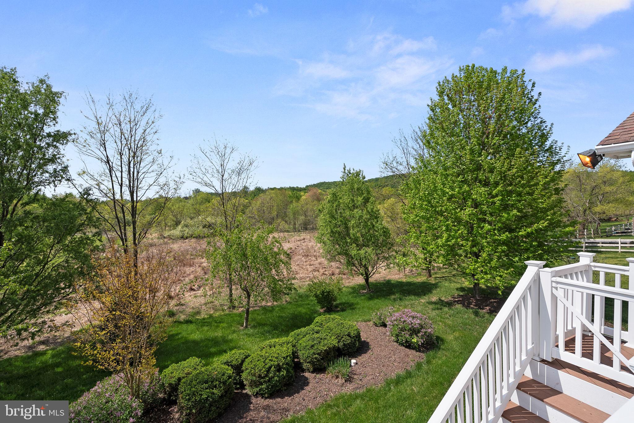 16909 Evening Star Dr