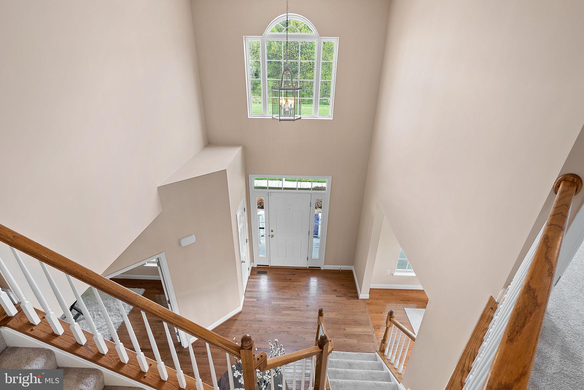 16909 Evening Star Dr