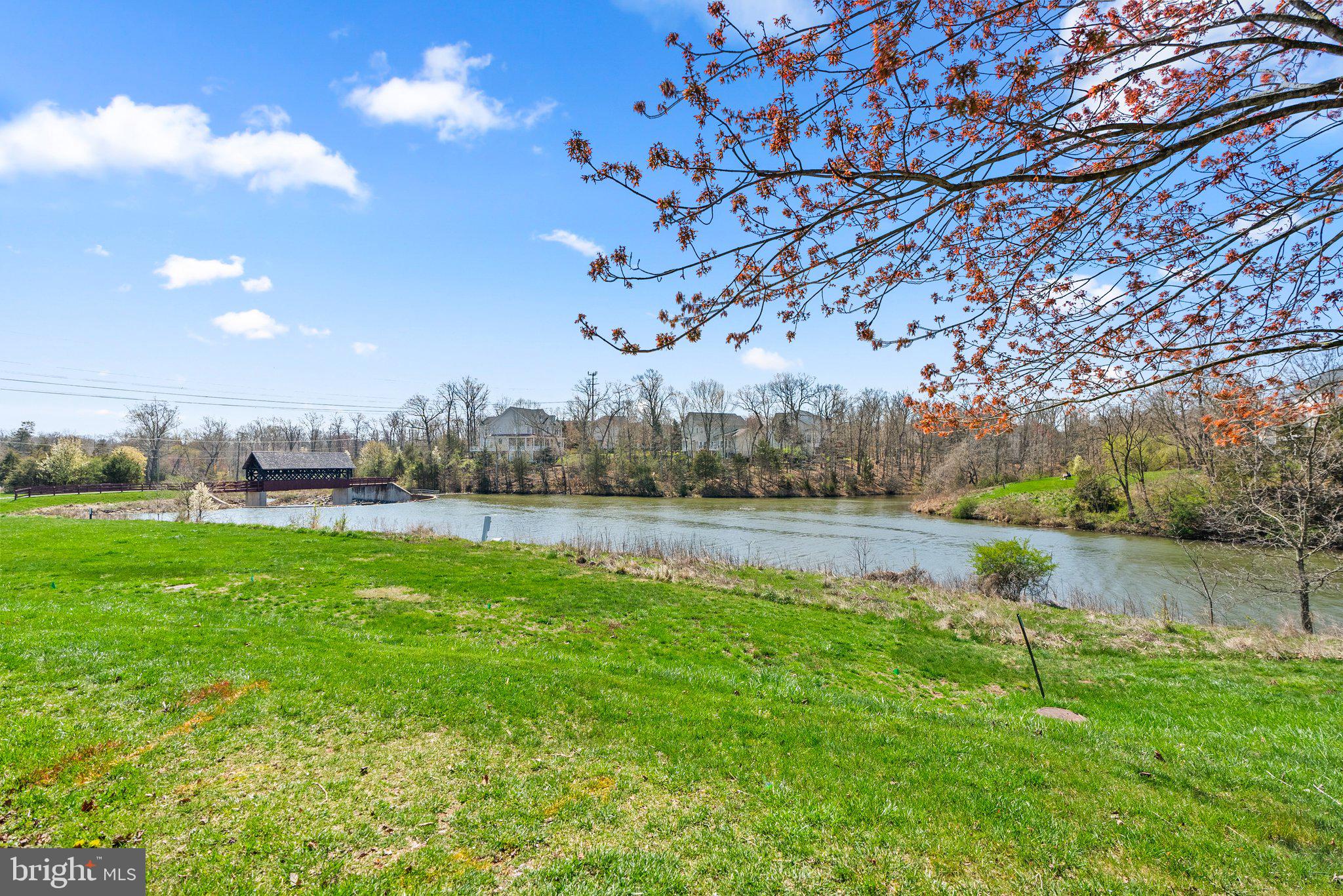 43107 Northlake Overlook Ter