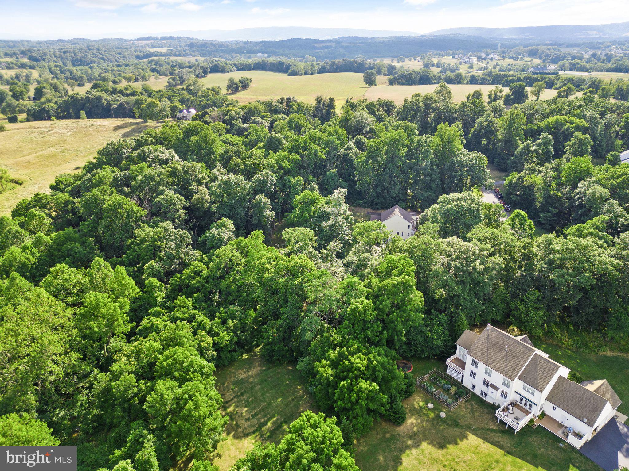 37123 Walnut Ridge Pl