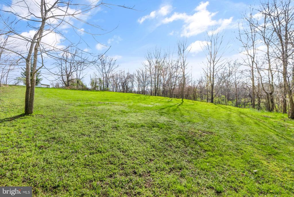 37123 Walnut Ridge Pl