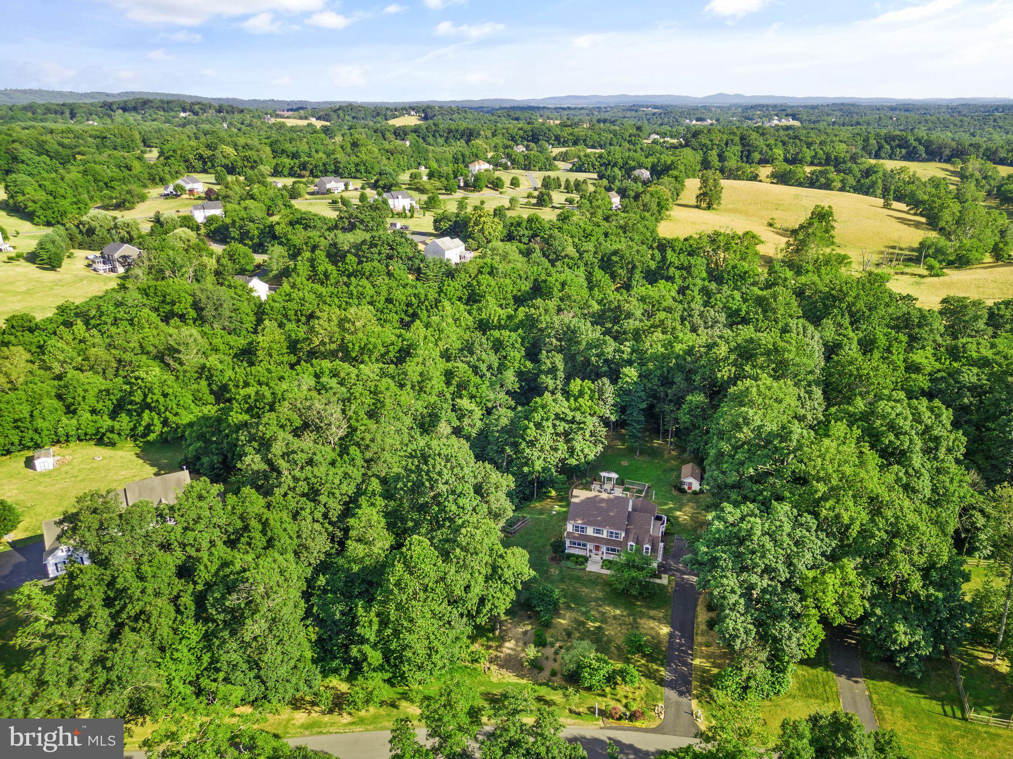 37123 Walnut Ridge Pl