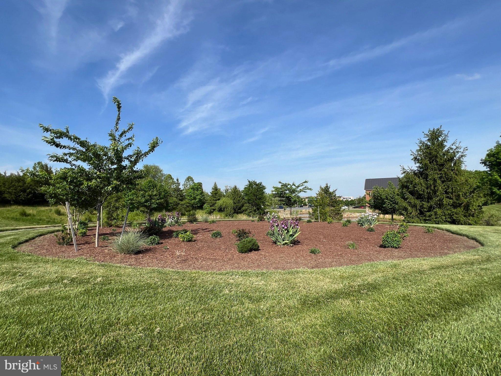 24325 Eagles Landing Pl